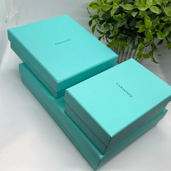 Tiffany & Co. Autentic Turquoise Gift Boxes
(Set of three) - Picture 3 of 9